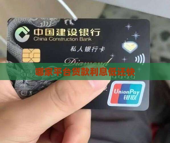 哪家公司贷款利息低还快