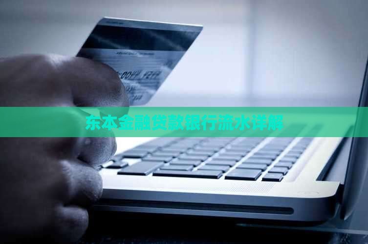 东本金融贷款银行流水