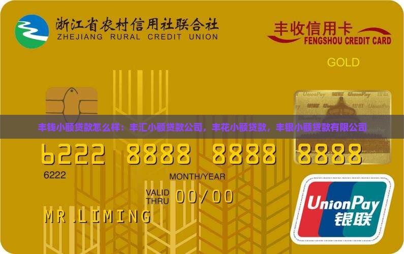 丰钱小额贷款怎么样