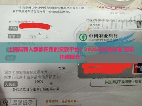 上海工资高的贷款平台