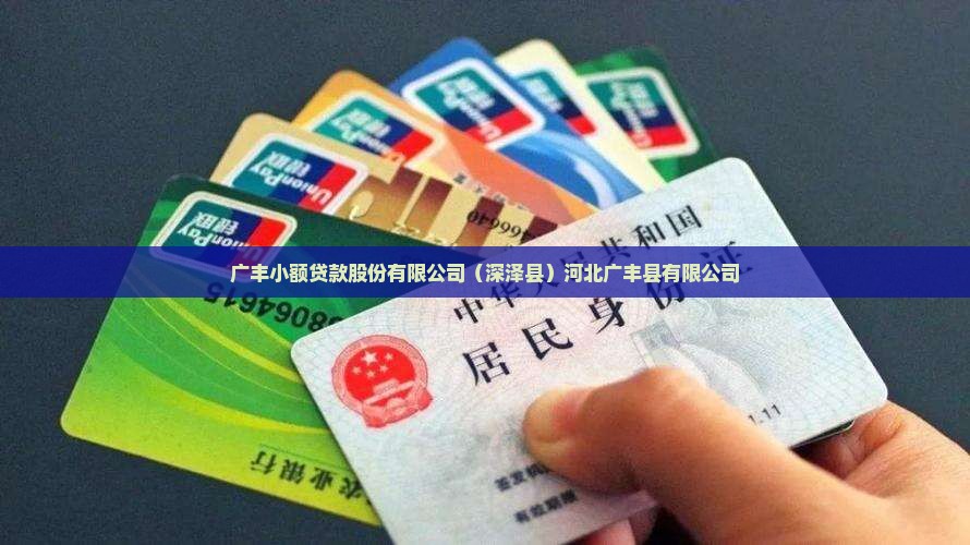 广丰小额贷款