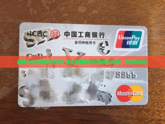 可以用邮政的小额贷款