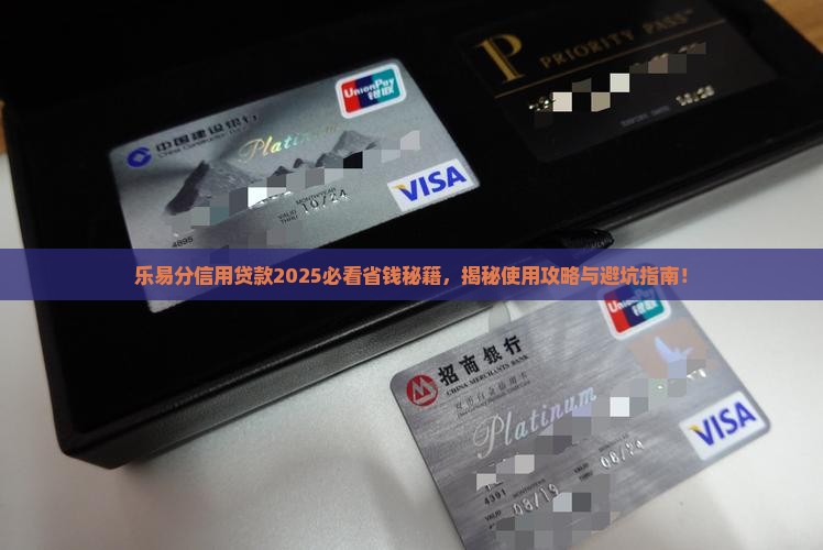 乐易分信用贷款