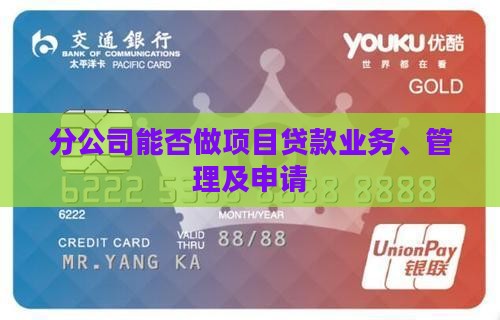 分公司能否做项目贷款
