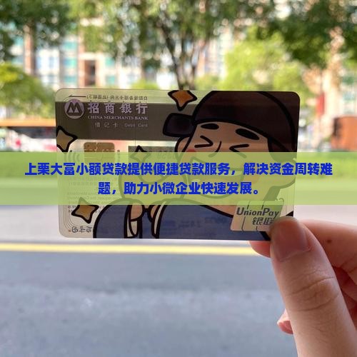 上栗大富小额贷款