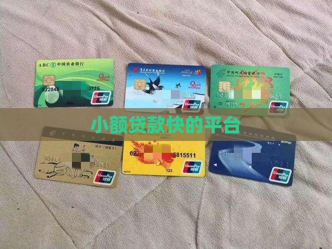 小额贷款快的平台