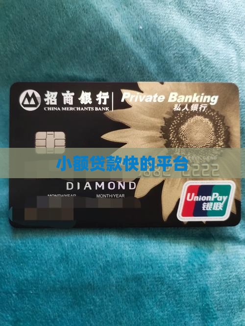 小额贷款快的平台