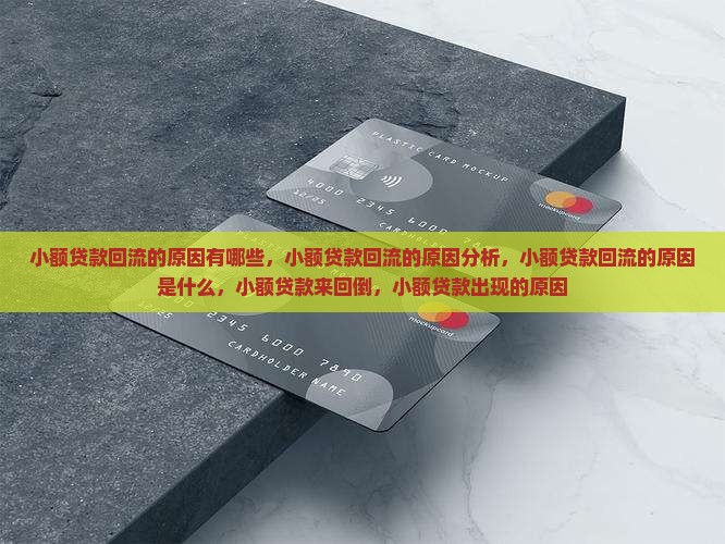 小额贷款回流的原因