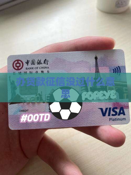 办贷款征信没过什么意思