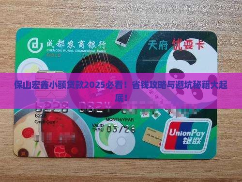 保山宏鑫小额贷款
