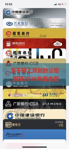 关于网上贷款的公司