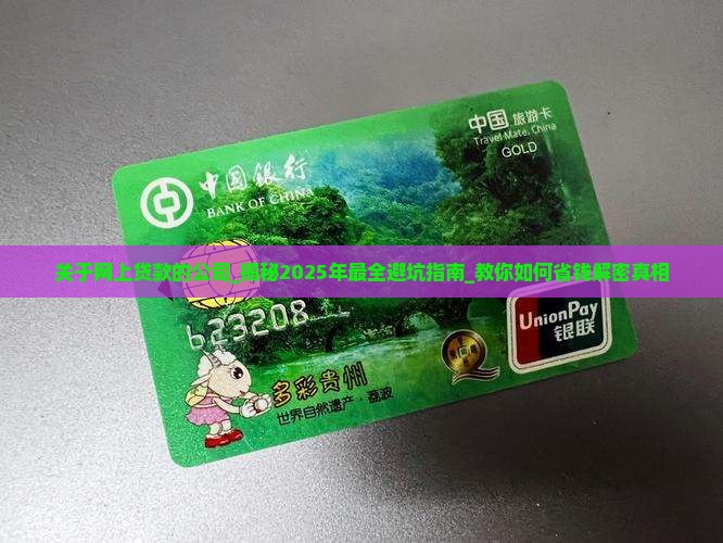 关于网上贷款的公司