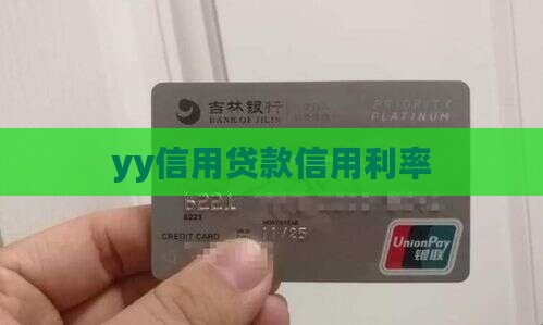 yy信用贷款利率