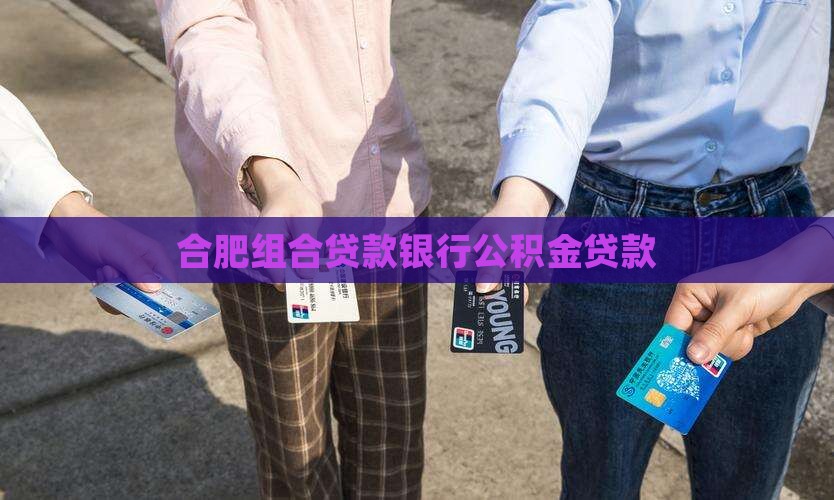 合肥市组合贷款银行