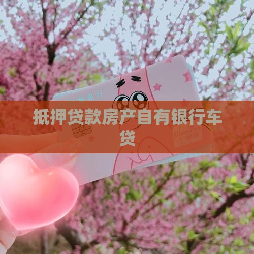 房子抵押贷款贷车贷