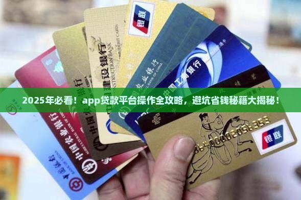 app贷款平台操作