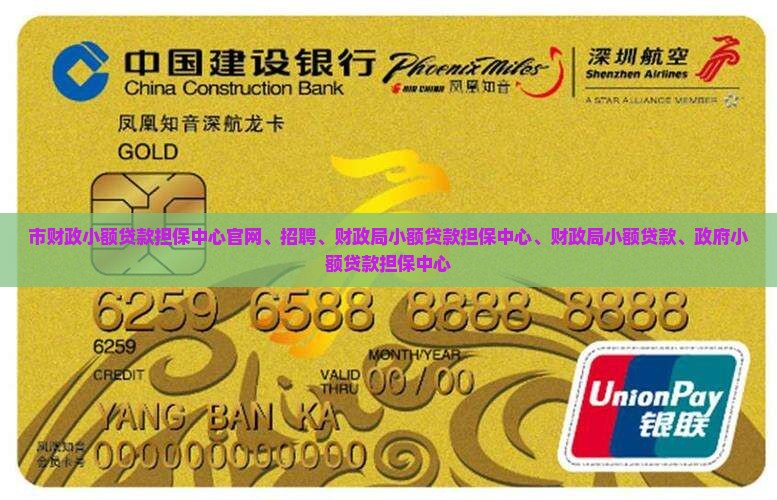 市财政小额贷款担保中心