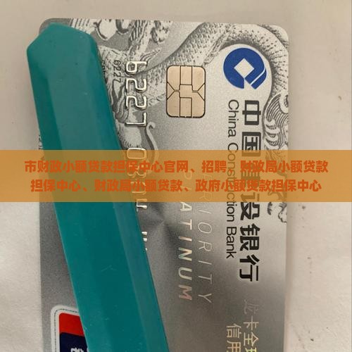 市财政小额贷款担保中心