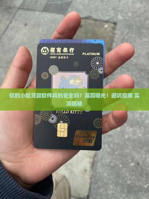 小额贷款软件漏洞
