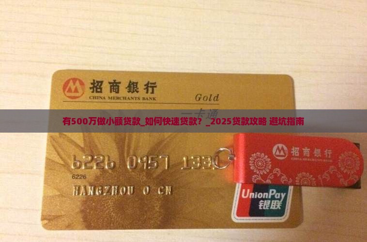 有500万做小额贷款 有500万做小额贷款