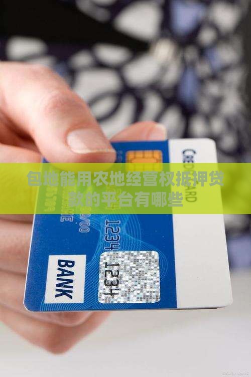 包地能做哪些贷款平台