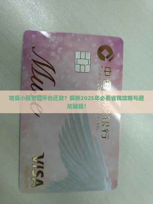 啥算小额贷款平台还款