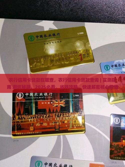 农行信用卡贷款在哪查