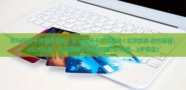 农行信用卡贷款在哪查