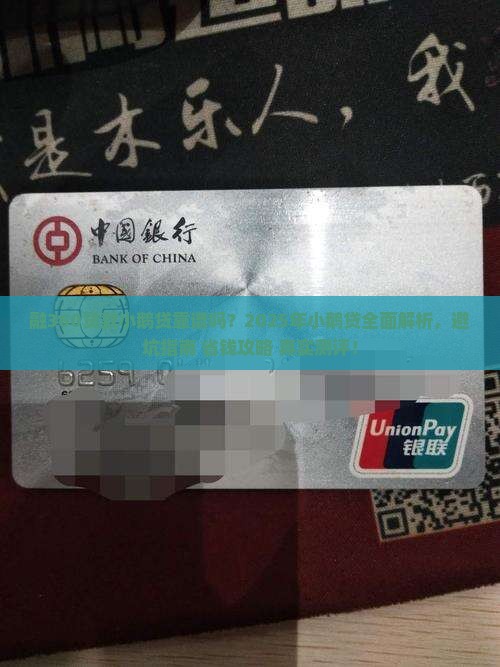 融360贷款小鹅贷