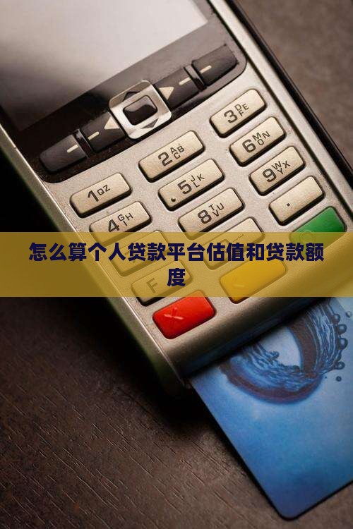 个人贷款平台估值怎么算