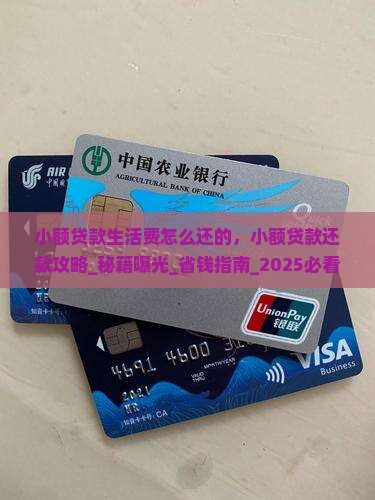 小额贷款生活费怎么还的