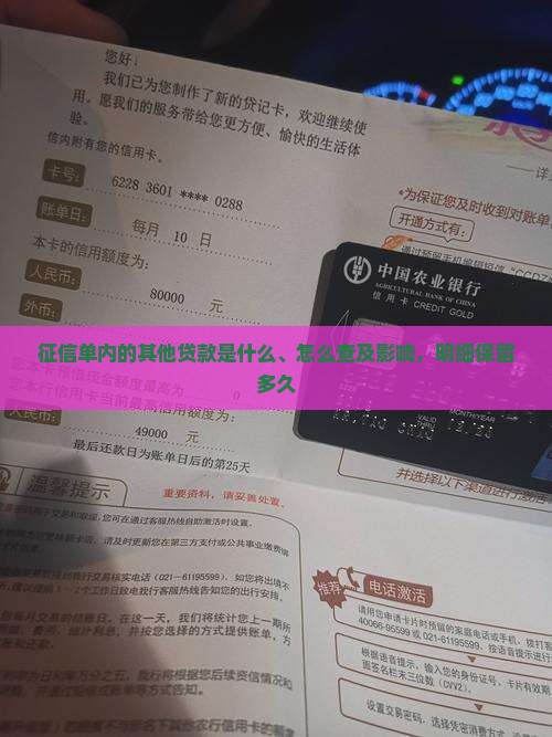 征信单内的其他贷款