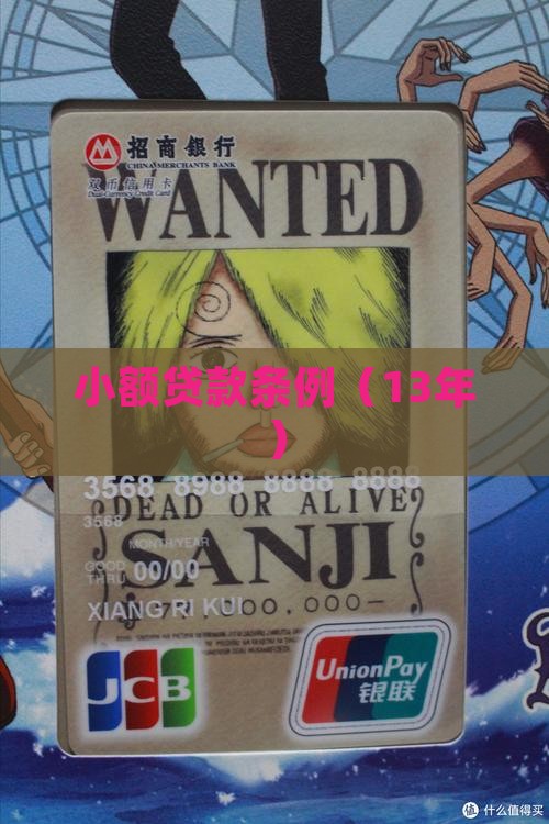 13年小额贷款条例