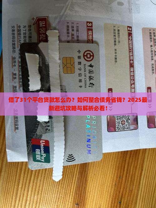 借了31个平台贷款