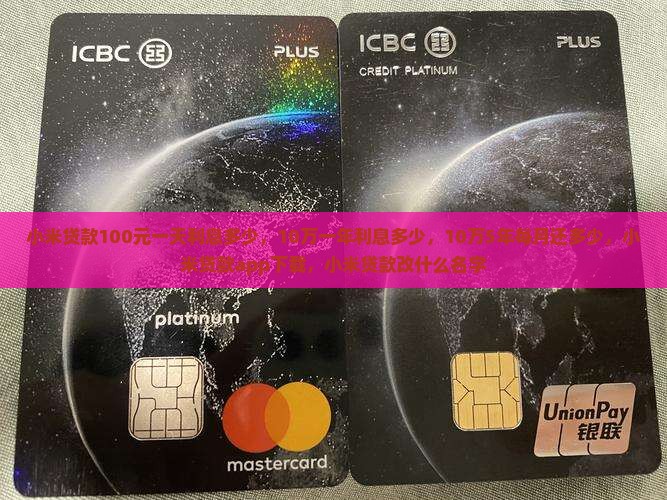 小米贷款100