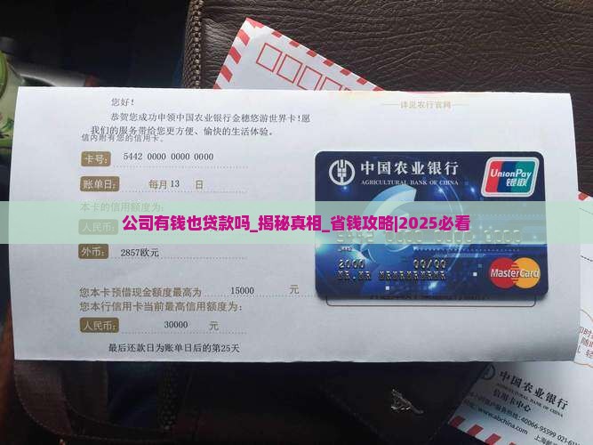 公司有钱也贷款吗