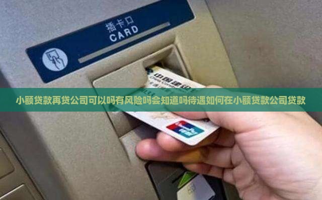 小额贷款再贷公司