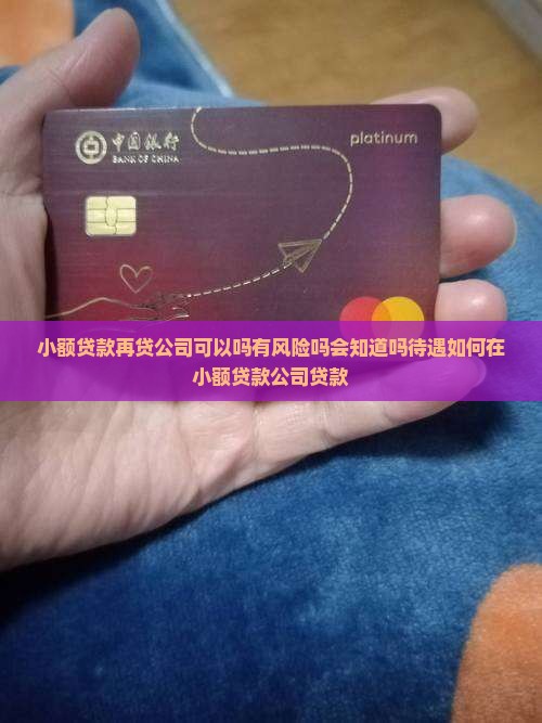 小额贷款再贷公司
