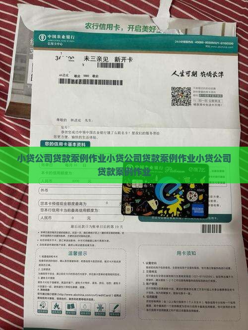 小贷公司贷款案例作业