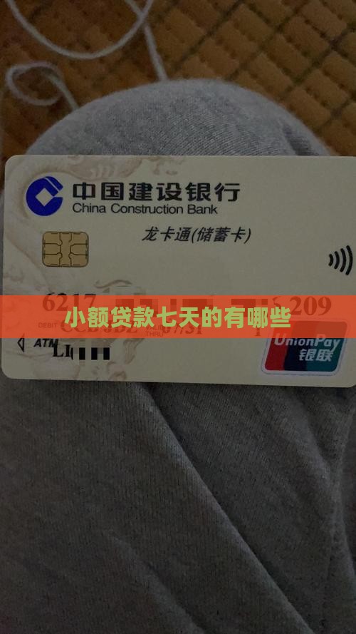 小额贷款七天的有哪些