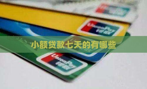 小额贷款七天的有哪些