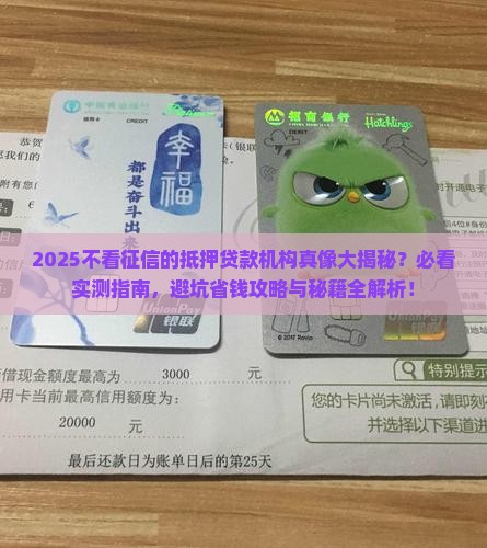 不看征信的抵押贷款机构