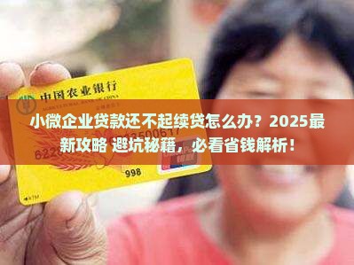小微企业贷款还不起续贷 小微企业贷款还不起续贷