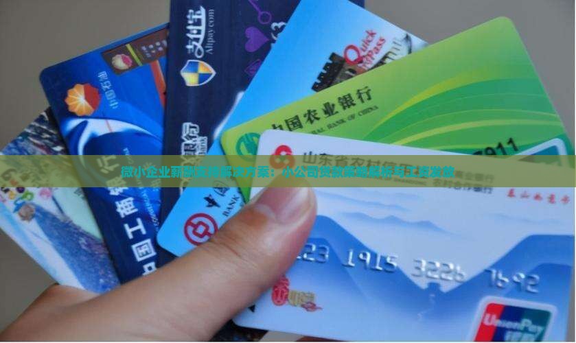 微小企业薪酬支持解决方案：小公司贷款策略解析与工资发放