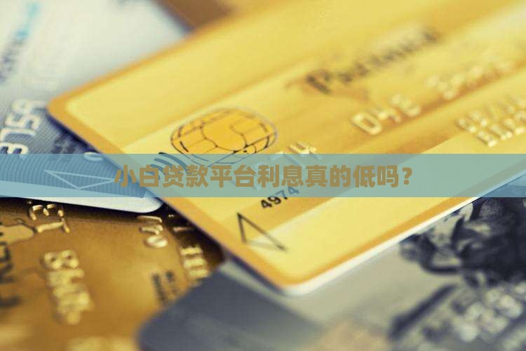 小白贷款平台利息真的低吗？