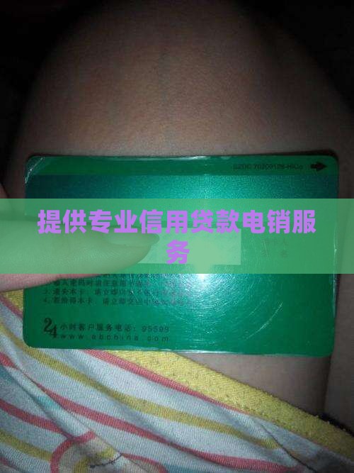提供专业信用贷款电销服务