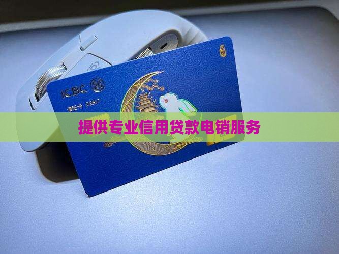 提供专业信用贷款电销服务