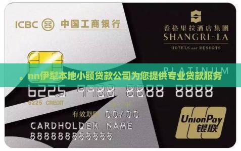 。nn伊犁本地小额贷款公司为您提供专业贷款服务