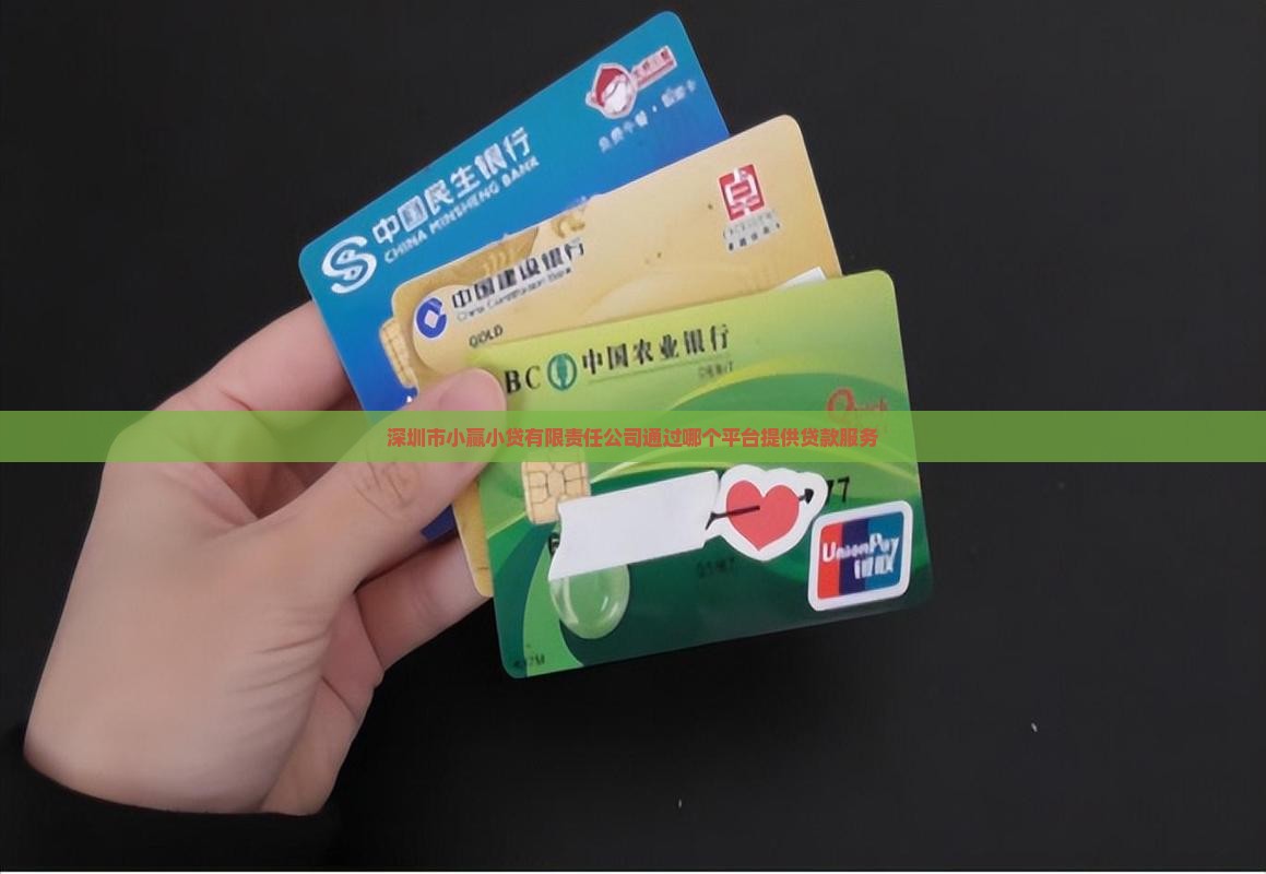 深圳市小赢小贷有限责任公司通过哪个平台提供贷款服务