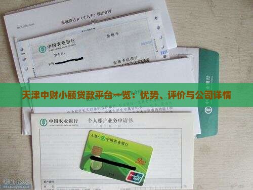 天津中财小额贷款平台一览：优势、评价与公司详情